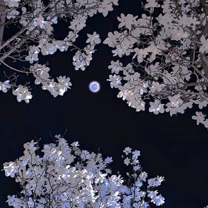 黑人变态深video特大巨大
