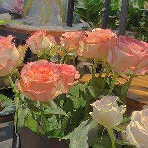 黑人变态深video特大巨大
