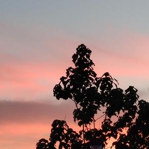 黑人变态深video特大巨大
